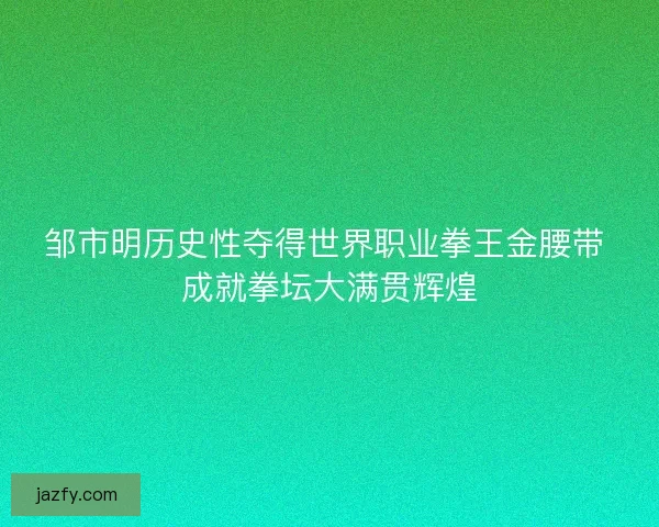 邹市明历史性夺得世界职业拳王金腰带 成就拳坛大满贯辉煌